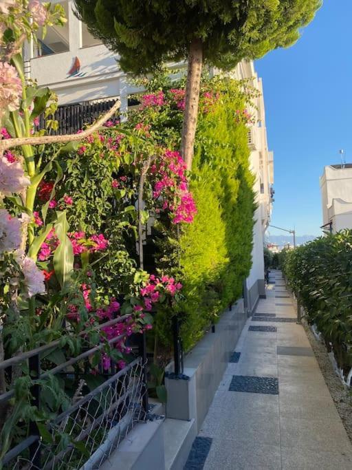 Bodrum Appartement Bodrum